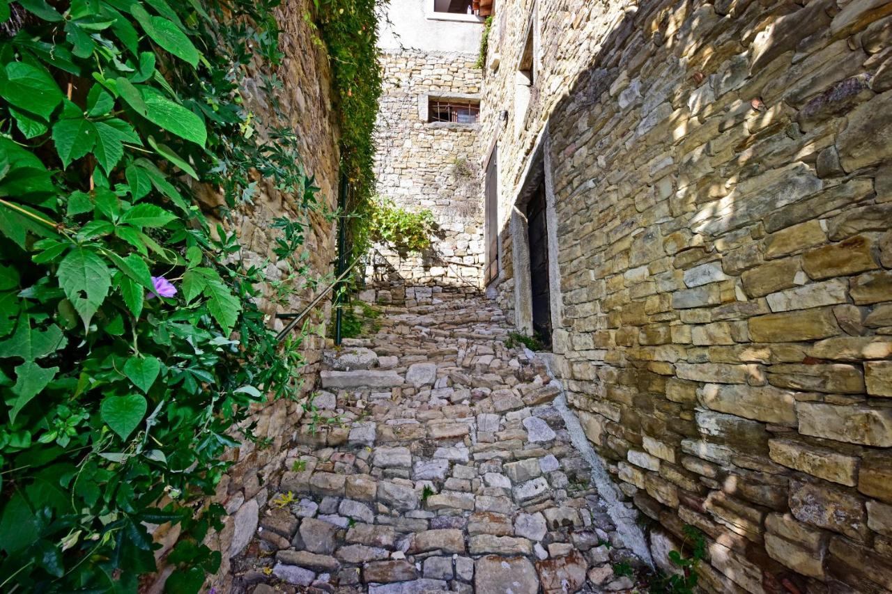 Villa Fragola Motovun Exterior photo